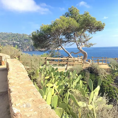 Διαμέρισμα 1pele Pl - *